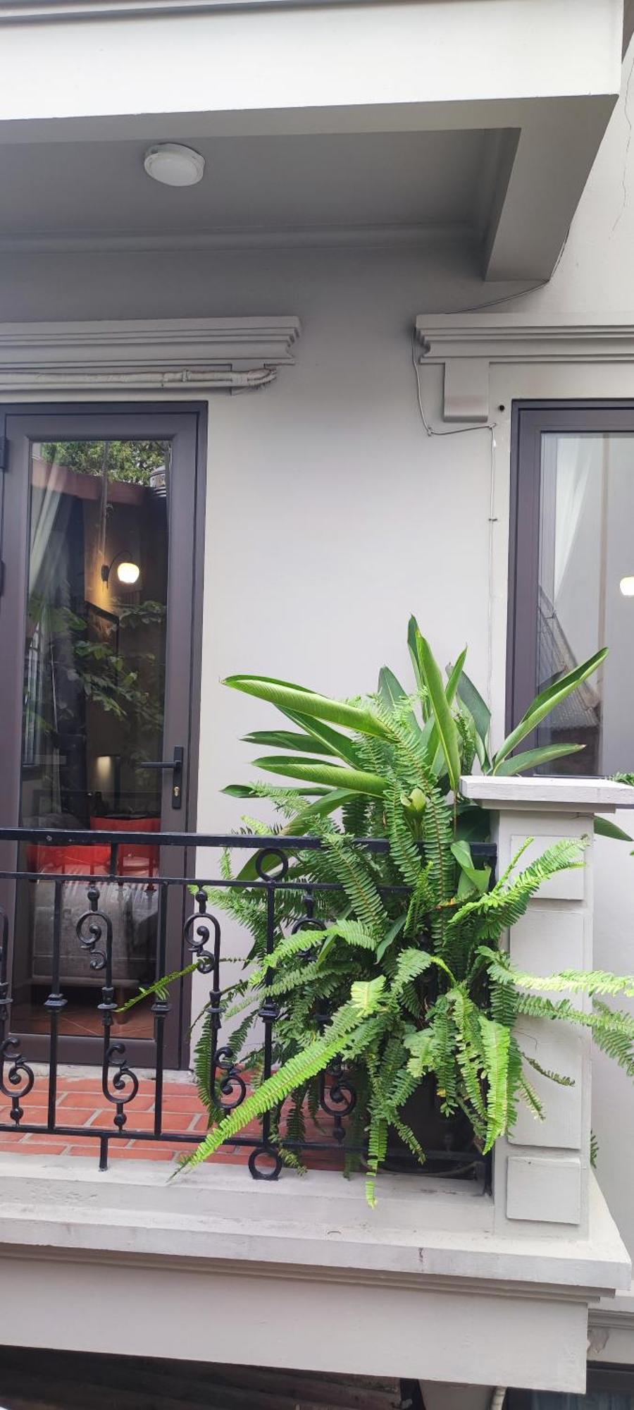 T Home Balcony Homestay Hanoi Zewnętrze zdjęcie